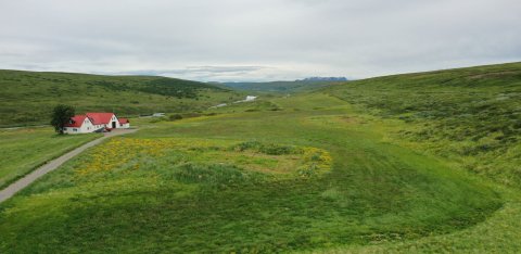 Hofstaðir í Mývatnssveit sumarið 2021