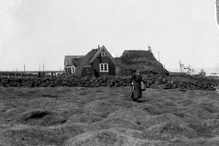 Stækka mynd