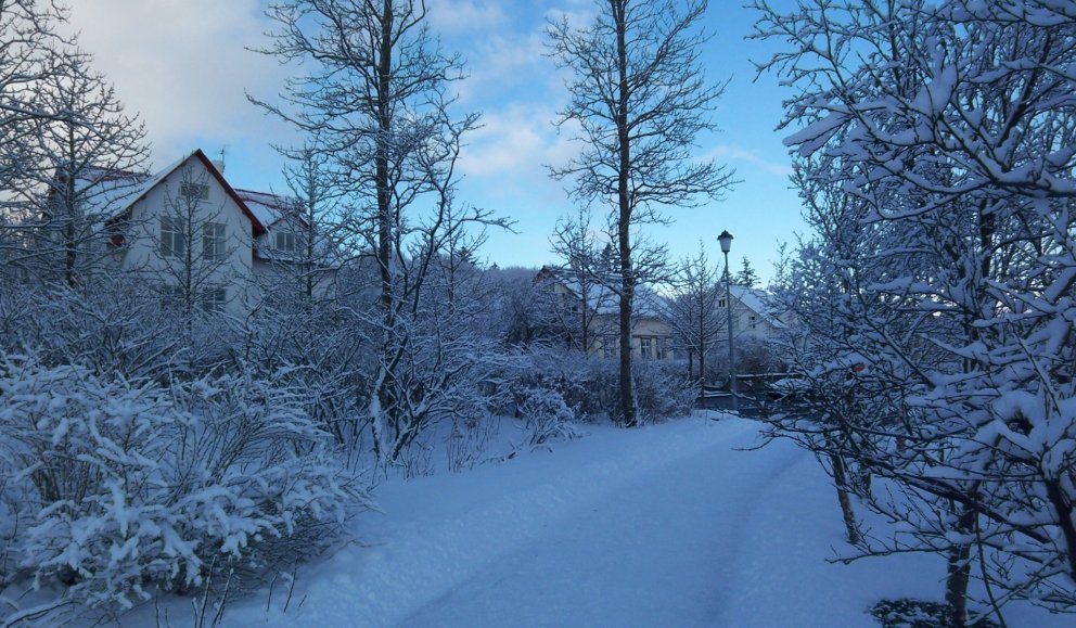 Við Tjörnina í Reykjavík