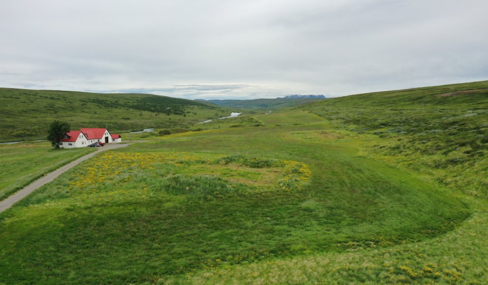 Hofstaðir í Mývatnssveit sumarið 2021