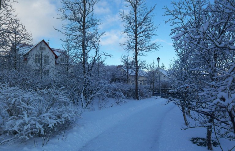Við Tjörnina í Reykjavík