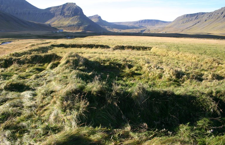 Fornleifar í Selárdal í Arnarfirði