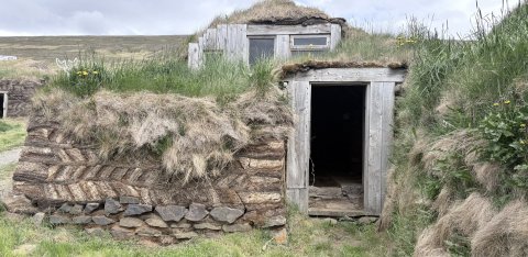 Tyrfingsstaðir á Kjálka í Skagafirði.